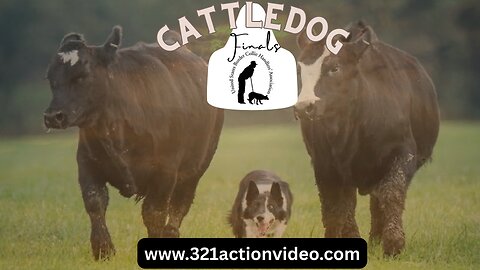 USBCHA Cattle Dog Finals - Friday