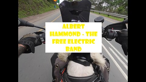 Albert Hammond - The Free Electric Band
