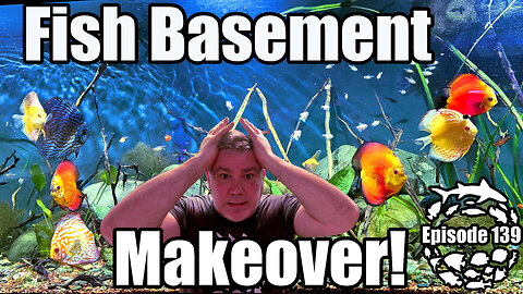 Aquarium Basement Makeover: Updates on Everything!