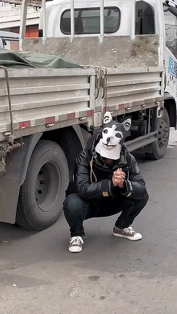 dog sound prank Their reaction are crazy #animalsfunnyvideos #prankwothdogs