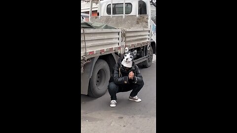 dog sound prank Their reaction are crazy #animalsfunnyvideos #prankwothdogs