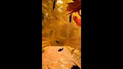 🍁 Fall in Chicago means pumpkin lattes and cheaper home prices 🏡