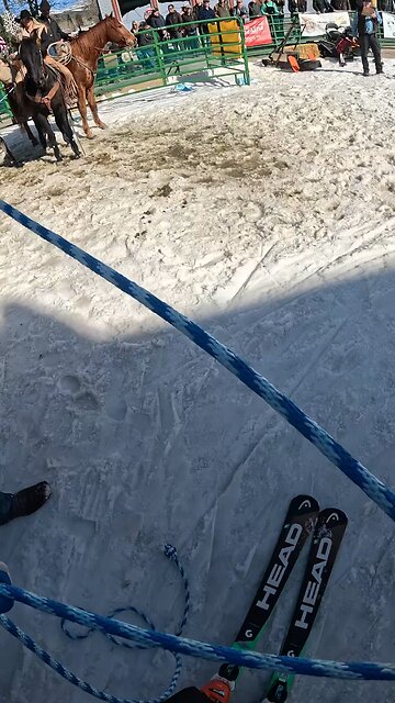 “Americans have no culture”