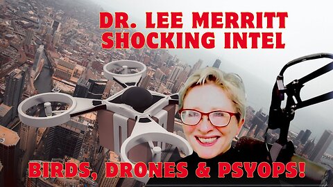 Dr. Lee Merritt SHOCKING INTEL: Birds, Drones And Psyops!!! Dec 26