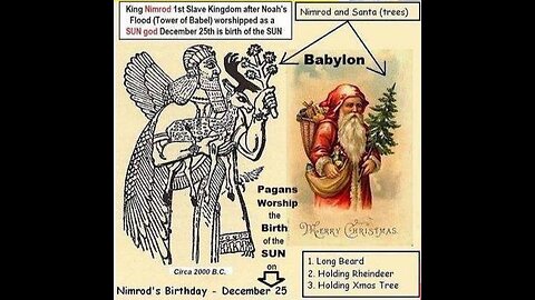 12 Illuminating Christmas Gift - 360° Festival of Light