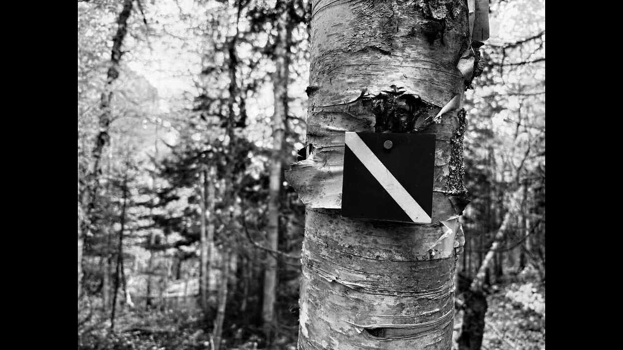 Sarah Took A Hike, Unfortunately She Came Back...