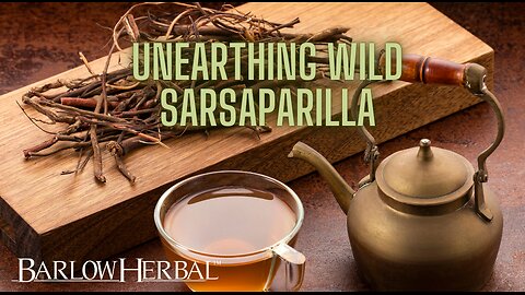 The Health Benefits of Wild Sarsaparilla