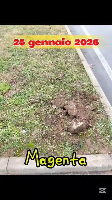 che succede a Magenta?