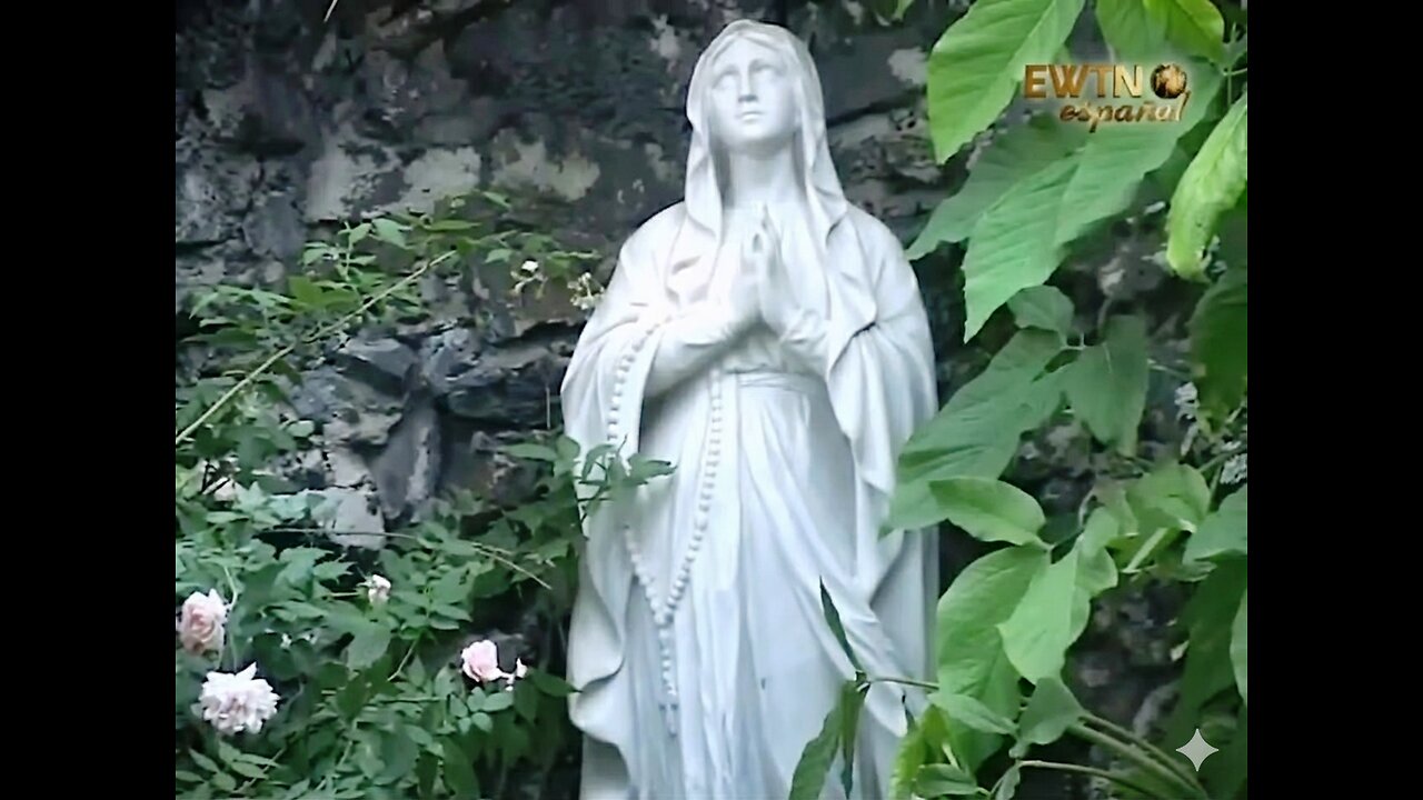 ABRE LA PUERTA - La Habana, Cuba (2010)