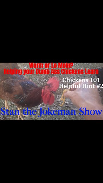 Chickens 101 Lesson 2! 'GPSing' the Chickens