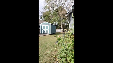 Chickens 101 Part 2
