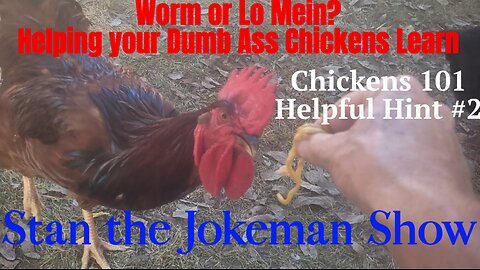 Chickens 101 Lesson 2! 'GPSing' the Chickens