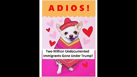 2 Million Undocumented Migrants Gone Under Trump! Department Of Deportation Podcast Ep58