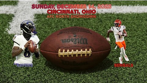 Baltimore Ravens @ Cincinnati Bengals, Week 15, Diggin' Deeper Into the NFL