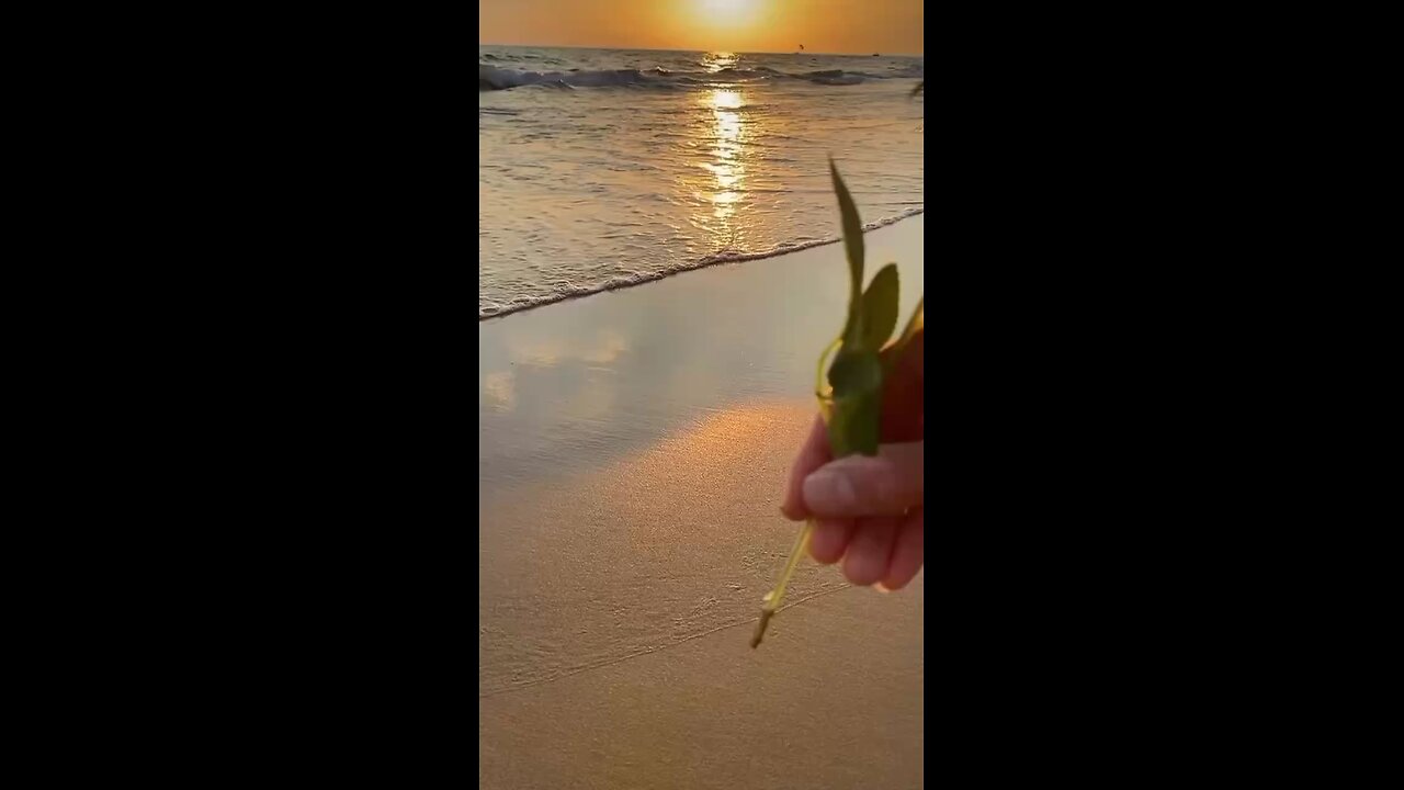 khubsurat scenes