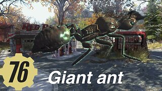 Fallout 76 giant ant, Insect Vicious fire ant.