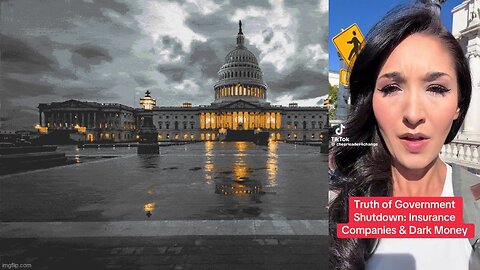 DID DESIREE TOWNSEND UNCOVER THE REAL REASON FOR THE GOVERNMENT SHUTDOWN⁉️