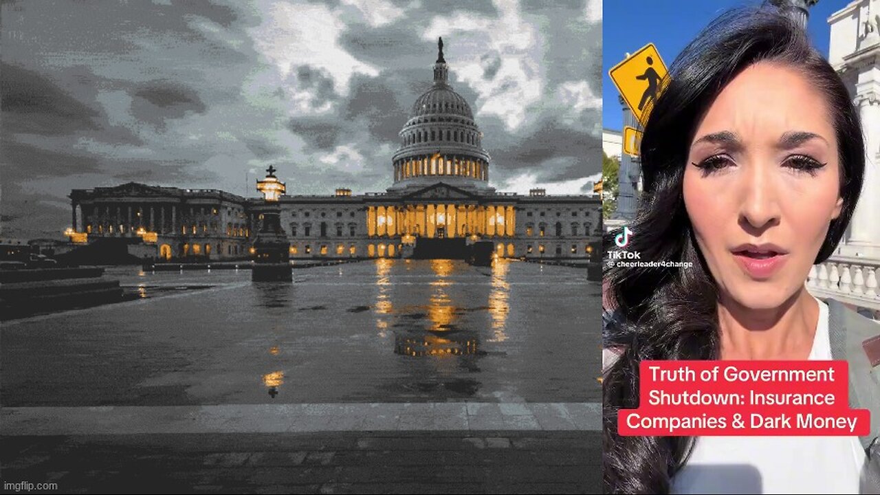 DID DESIREE TOWNSEND UNCOVER THE REAL REASON FOR THE GOVERNMENT SHUTDOWN⁉️