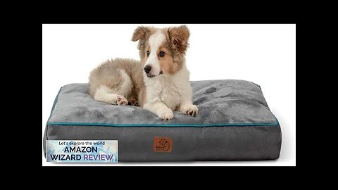 Bedsure Medium Dog Bed for Medium Dogs Cats Dog Bed Pillows Review