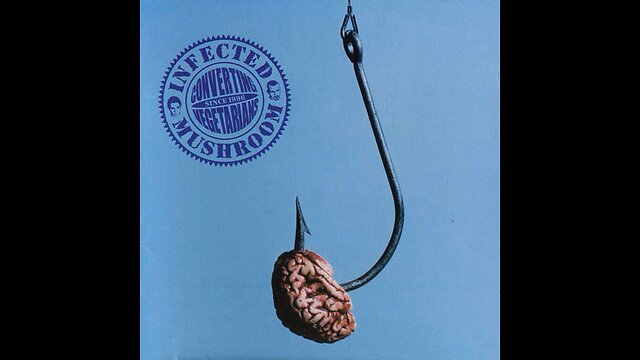 Infected Mushroom - Plezturra