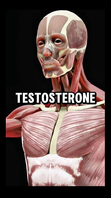 Testosterone boost foods for health