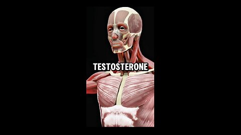 Testosterone boost foods for health