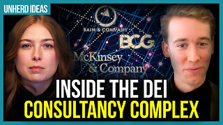 Inside the DEI consultancy complex