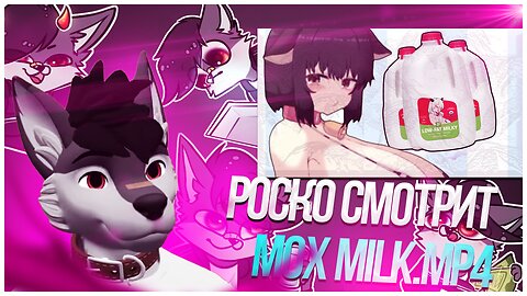 🐺 Роско смотрит Mox ಠ ᴥ ಠ - MILK.mp4