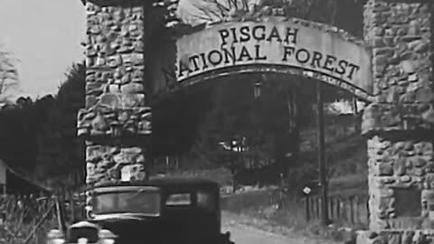 Regulated Deer Hunt: Pisgah 1930