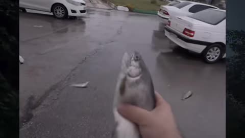 😱👺 Nightmares Come True! Shocking Paranormal Footage | TheHauntingHour