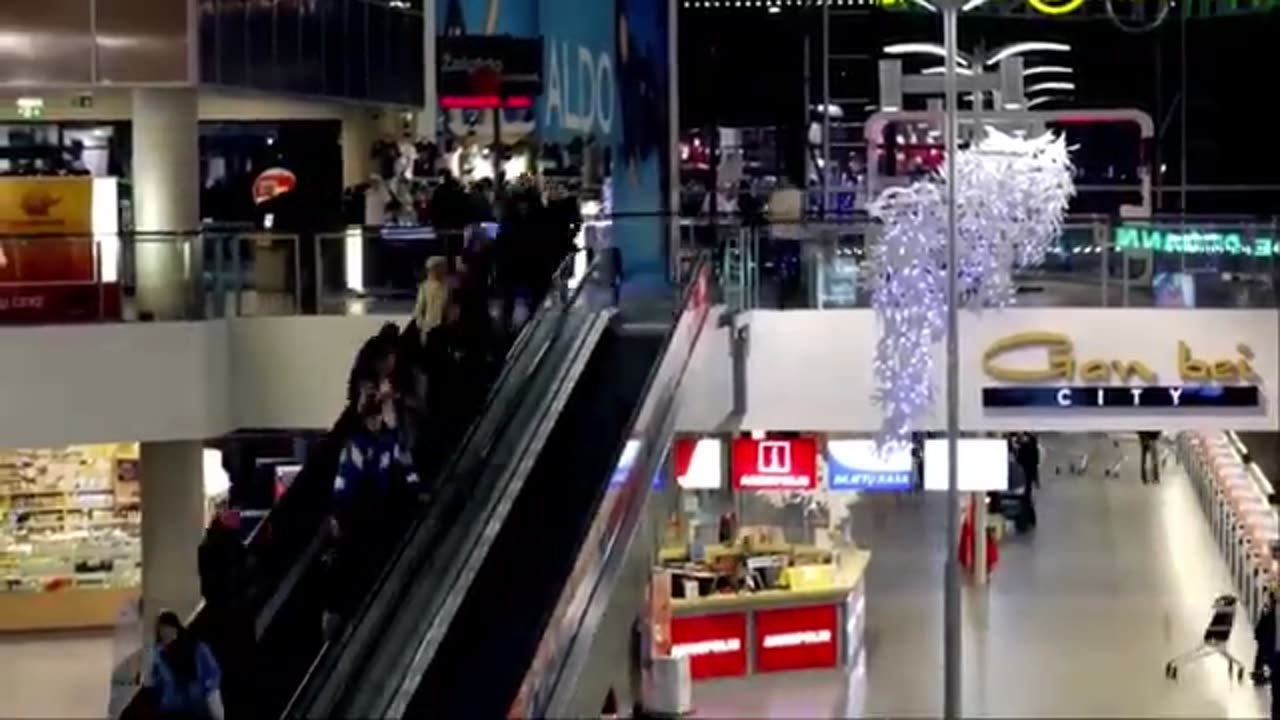 NARCISSIST APOCALYPSE | Spread of the Pride Virus (2021)