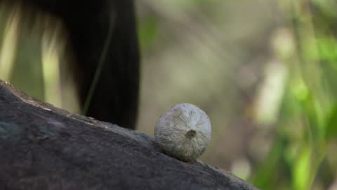 Los animalitos de Andy - T01E08 - Hora Del Desayuno