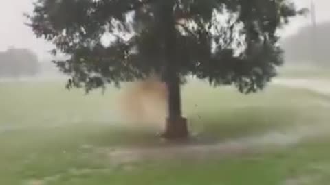 the power and size of an electrical discharge from nature
