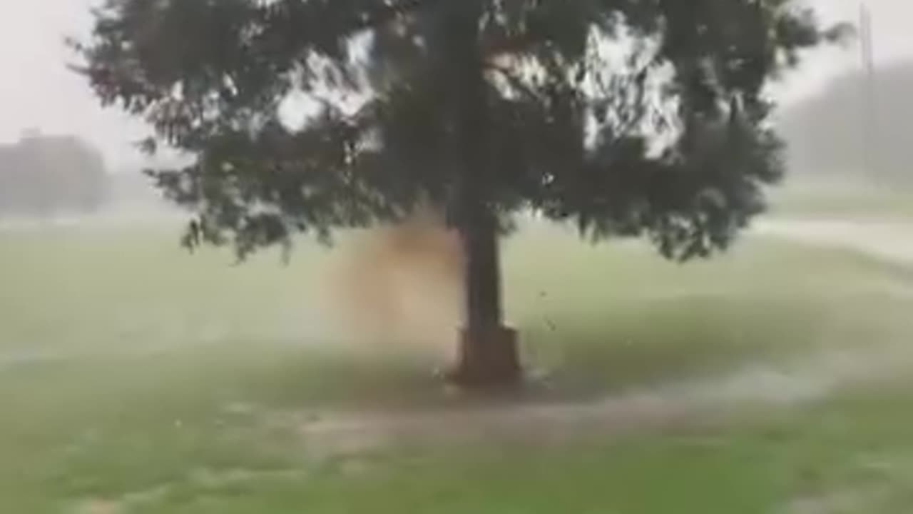 the power and size of an electrical discharge from nature