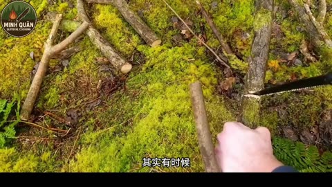 One Day in the Forest – Build Fire and Cook in Nature