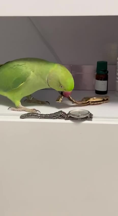 Naughty boy unhappy with the lump of coal this Christmas