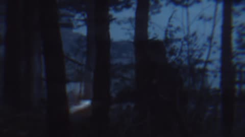 Breivik (Taking Drugs?)