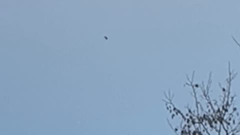 🤯👁️ What Was That Unexplained Sighting? | TheTruthAbove