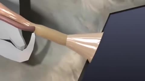 Digestive System Of Chicken 3D Animation