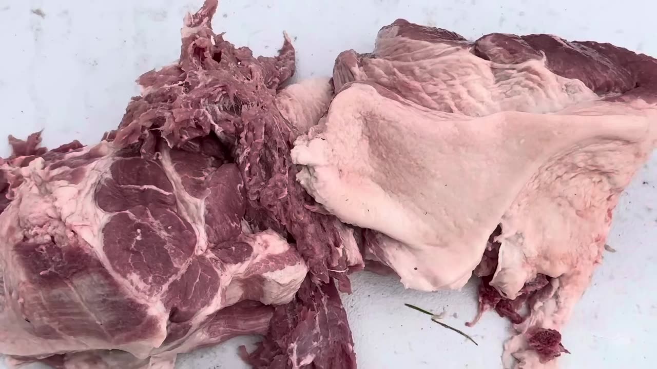 Charlie Kirk 30-06 vs Ballistics Gel | 200 Yard Test - Shot Claims Tested.