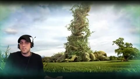What Happened to the Ancient Trees?