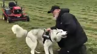 Shocking: Animal warning to humans #dogs #rescue #animals