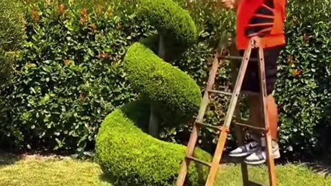 The Most Satisfying Bush Trimming You’ll See Today | Oddly Satisfying
