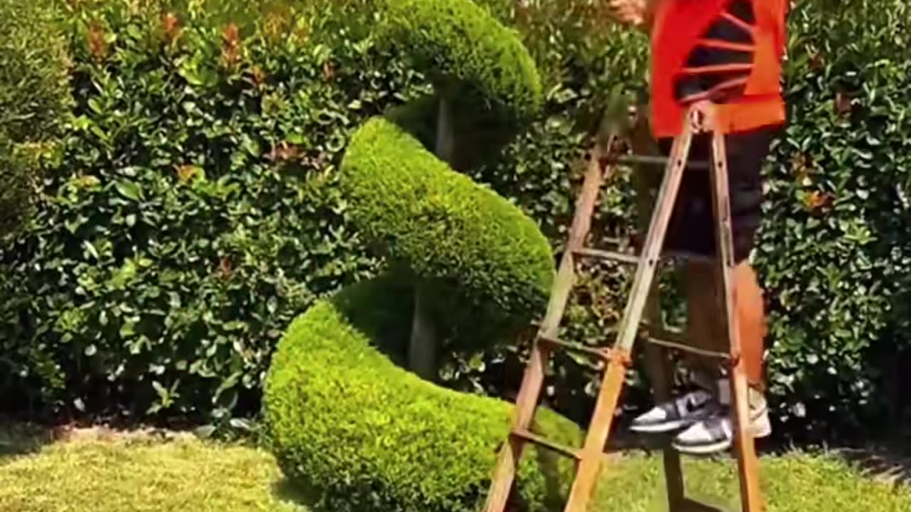 The Most Satisfying Bush Trimming You’ll See Today | Oddly Satisfying