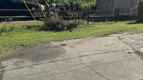 📦✨ More Before & After Magic