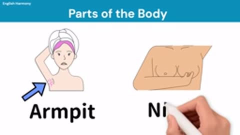 Body Parts in English | Human Body Parts Names | Learn Basic English Vocabulary