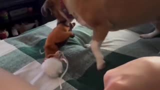 😂😠 This Spot is Taken! | FunFM