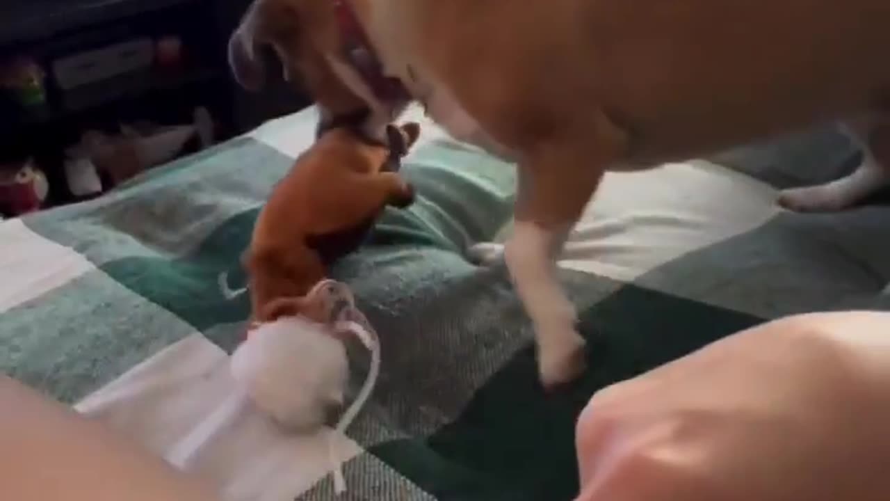 😂😠 This Spot is Taken! | FunFM