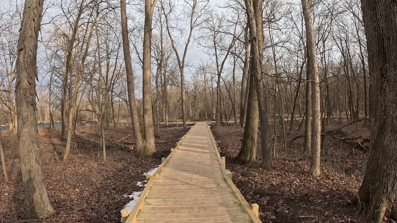 Walking on the Boardwalk