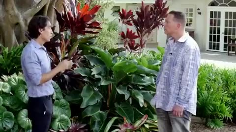 🚨SHOCKING: 1.3M women MISDIAGNOSED with breast cancer in the US over 30 years